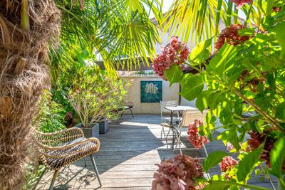 jardin tropical des Chambres d’hôtes à vendre à Anglet, Côte basque, à 4 km des plages