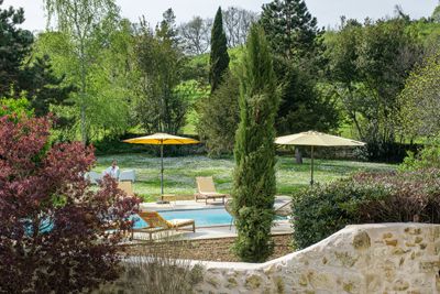 Piscine et parc des Chambres d’hôtes et gîtes à vendre près St-Emilion Gironde