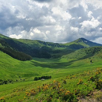 Vue sur le massif cantalie depuis les Chambres d'hôtes, gîte et restauration à vendre à Lavigerie dans le Cantal