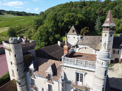 Vue sur les tours du Chateau et Propriété avec 4 gîtes haut de gamme à vendre à Givry en Saône-et-Loire