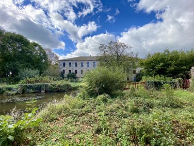 jardin de la Propriété à vendre entre Cluny et Tournus en Saône-et-Loire pour réceptions, chambres d'hôtes et gîtes