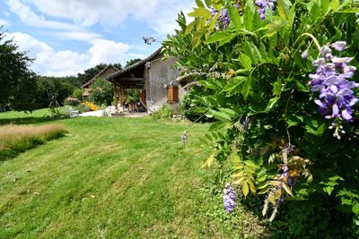 jardin des Chambres d'hôtes dans une ferme à vendre à Authumes, Saône-et-Loire