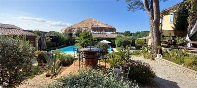 piscine des Gîte et chambres d'hôtes à vendre à Beaucaire dans le Gard