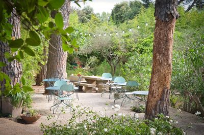 jardin des Gîte et chambres d'hôtes à vendre près d'Uzès dans le Gard