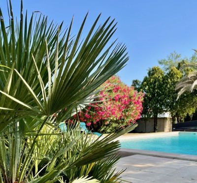  piscine des Chambres d'hôtes à vendre à Pouzols dans l'Hérault