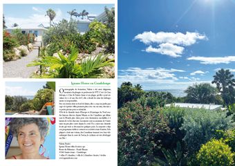  Reportage Iguane House villas & micro spa
Sainte-Anne - Guadeloupe